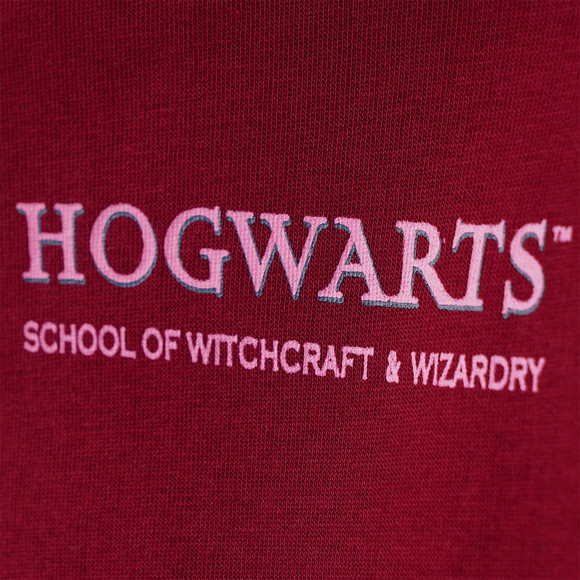 Harry Potter Hoodie mit Rücken-Print