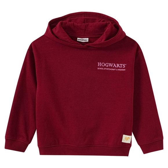 Harry Potter Hoodie mit Rücken-Print