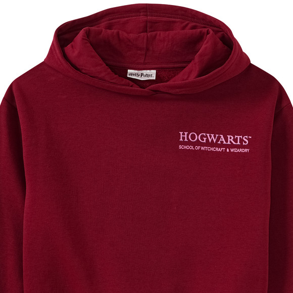 Harry Potter Hoodie mit Rücken-Print