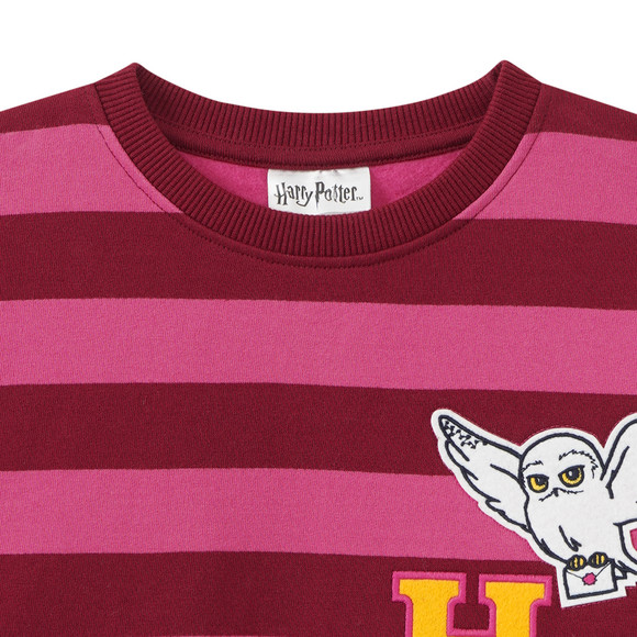Harry Potter Sweatshirt mit Streifen