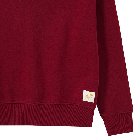 Harry Potter Hoodie mit Rücken-Print