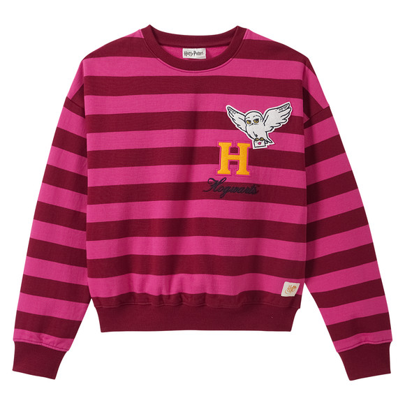 Harry Potter Sweatshirt mit Streifen
