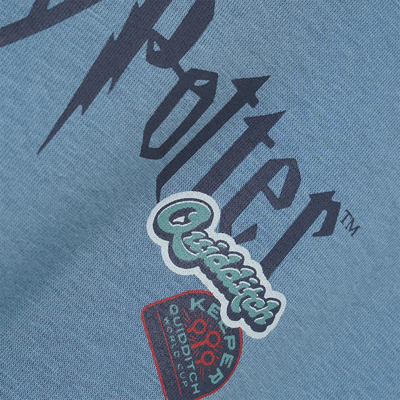 Harry Potter Sweatshirt mit Print
