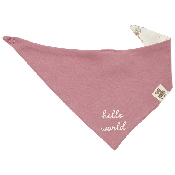 2 Baby Bandanas Born 2027