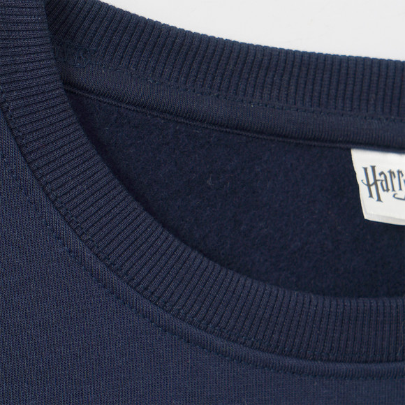 Harry Potter Sweatshirt mit Print