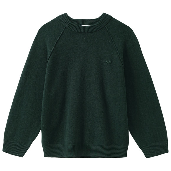 Jungen Strickpullover mit kleiner Stickerei