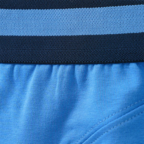 3 Jungen Boxer mit Dino-Motiven 