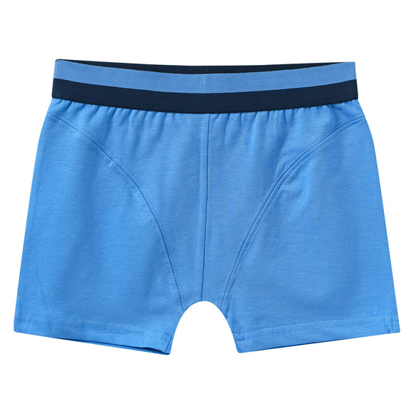 3 Jungen Boxer mit Dino-Motiven 