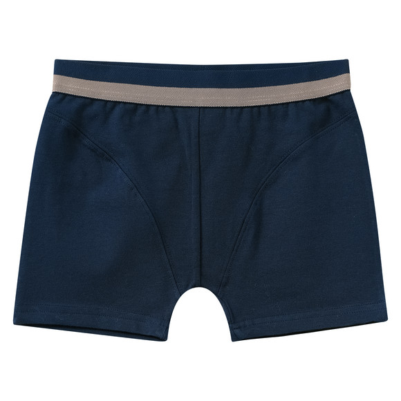 3 Jungen Boxer mit Dino-Motiven 