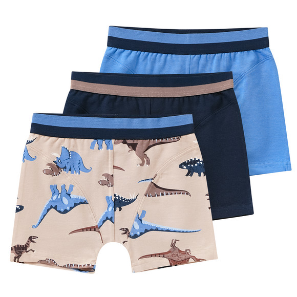 3 Jungen Boxer mit Dino-Motiven 