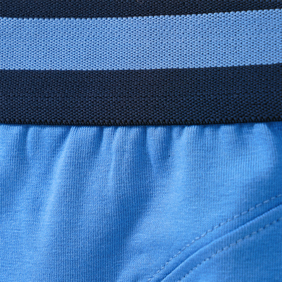 3 Jungen Boxer mit Dino-Motiven 