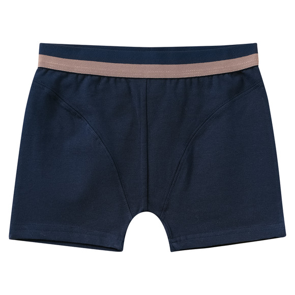 3 Jungen Boxer mit Dino-Motiven 