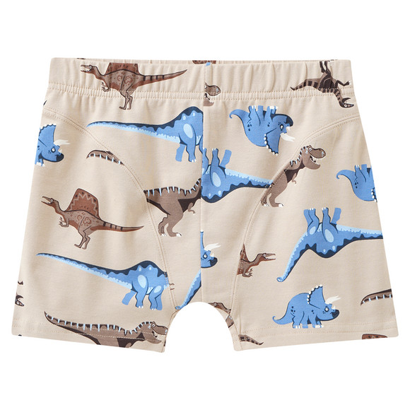 5 Jungen Boxer im Set