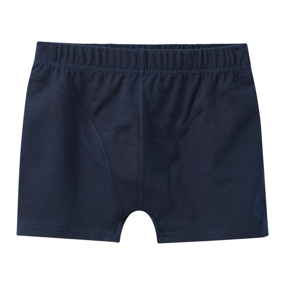 5 Jungen Boxer in verschiedenen Dessins
