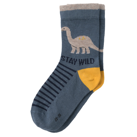 3 Paar Jungen Socken in verschiedenen Dessins