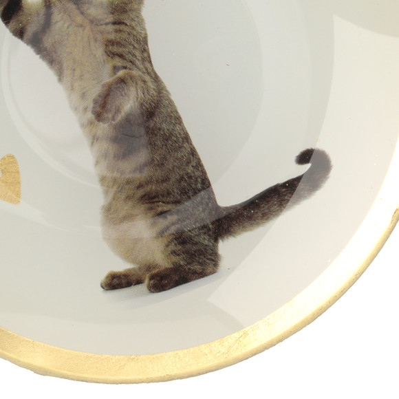 Kleiner Deko-Teller mit Katzen-Motiv