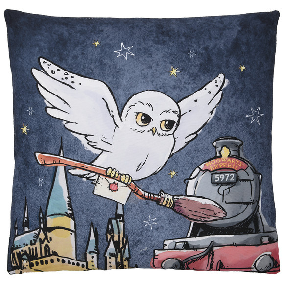 Harry Potter Kissen