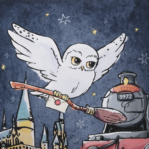 Harry Potter Kissen