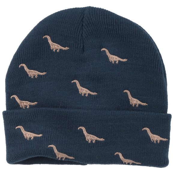 Jungen Mütze mit Dino-Stickerei