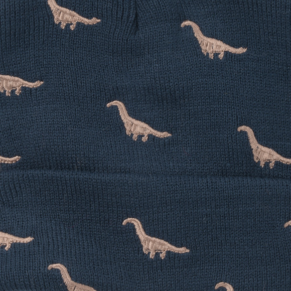 Jungen Mütze mit Dino-Stickerei