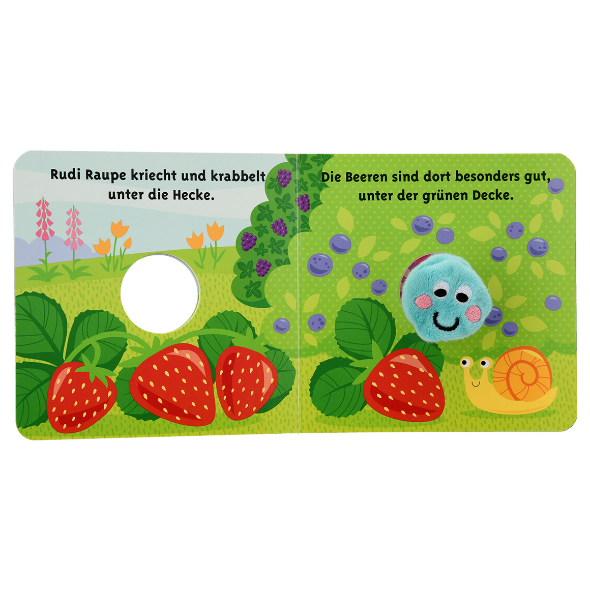 Baby Fingerpuppenbuch Rudi Raupe