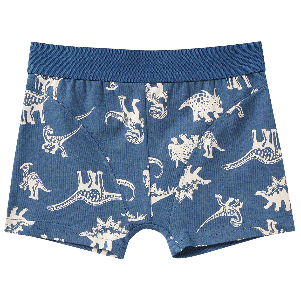3 Jungen Boxer mit Dino-Motiven