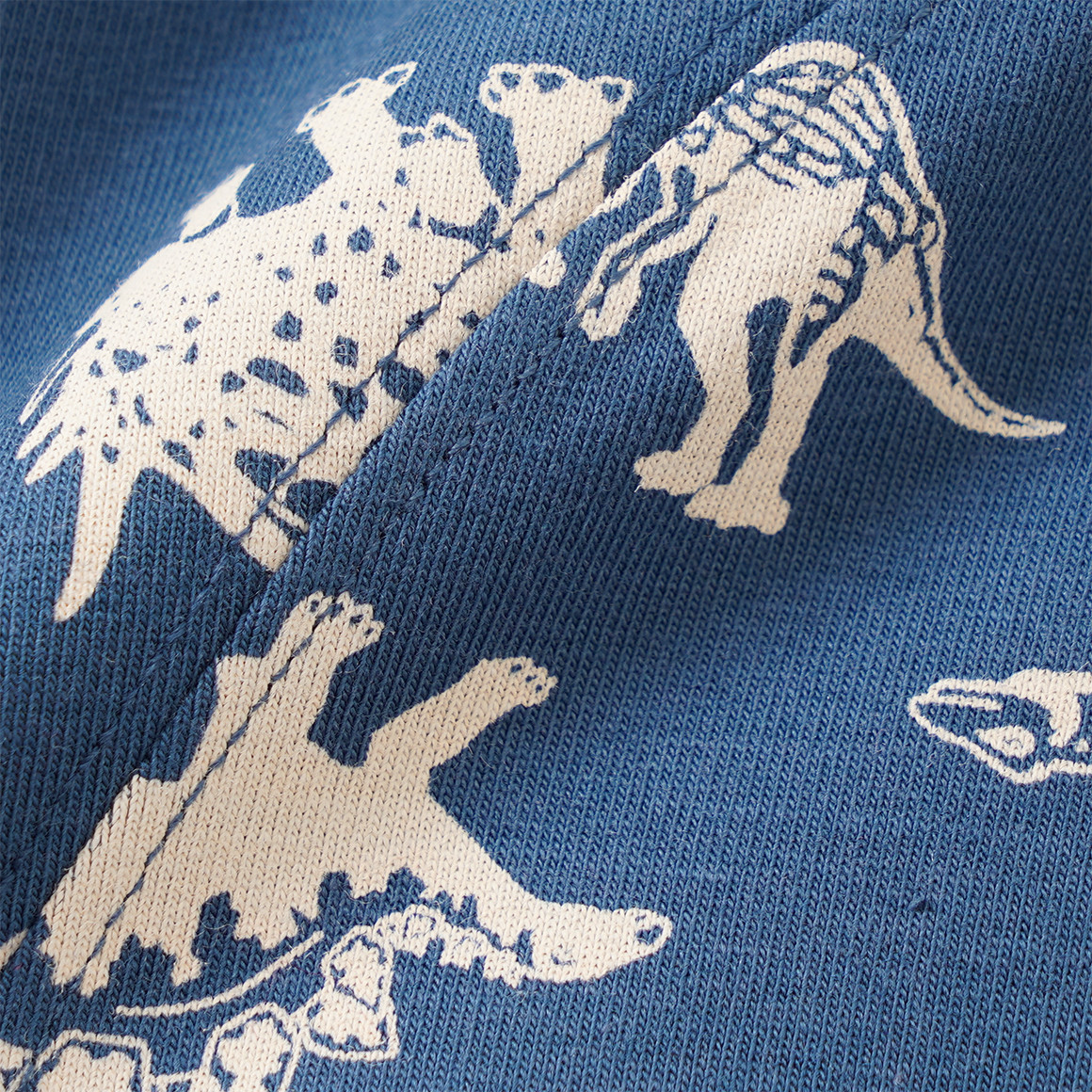 3 Jungen Boxer mit Dino-Motiven