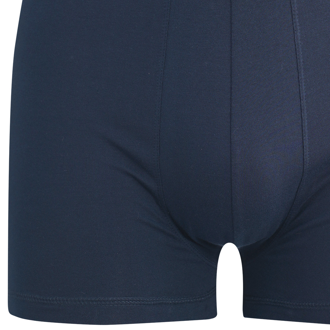 Herren Retroshorts mit Webbund