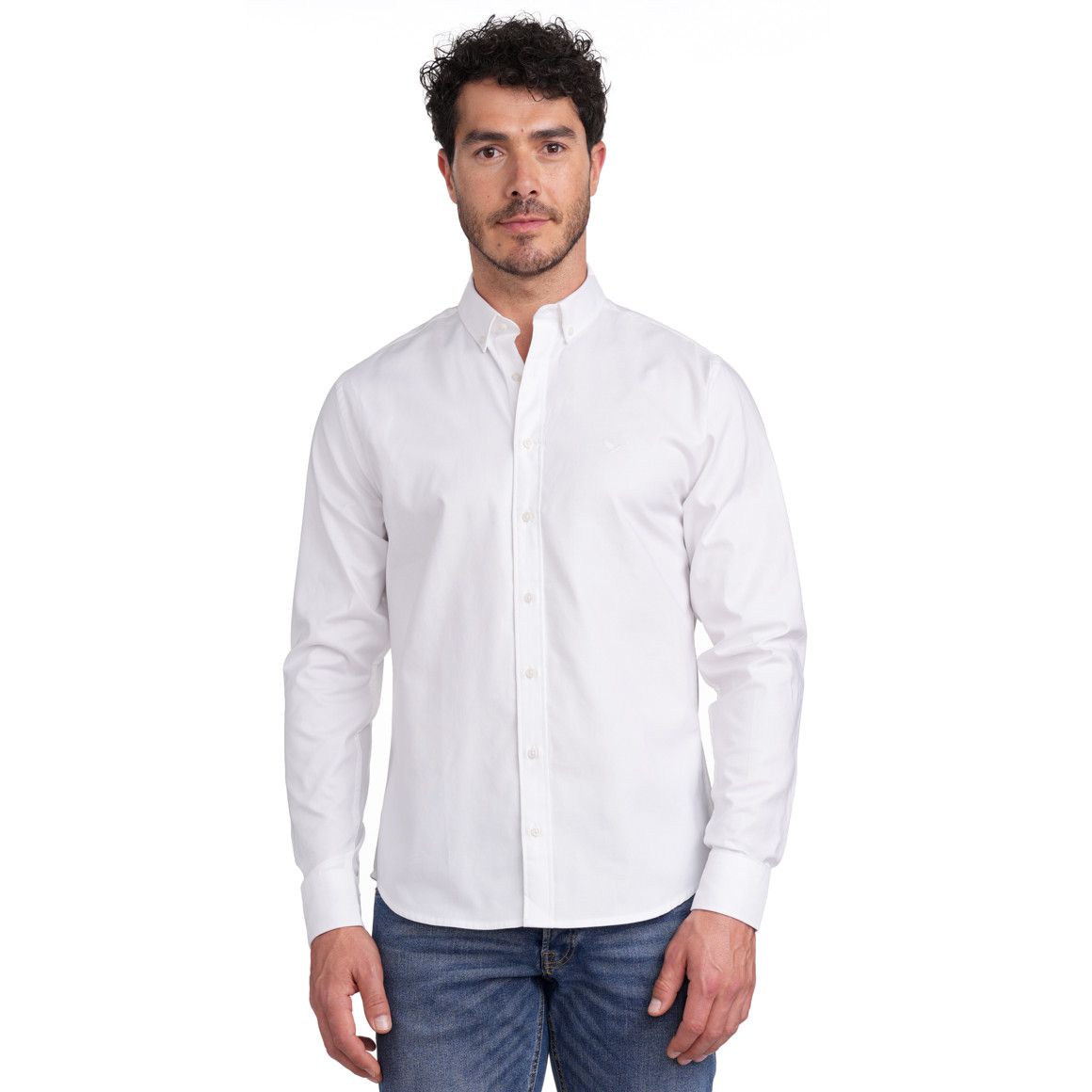 Herren Hemd in Regular Fit