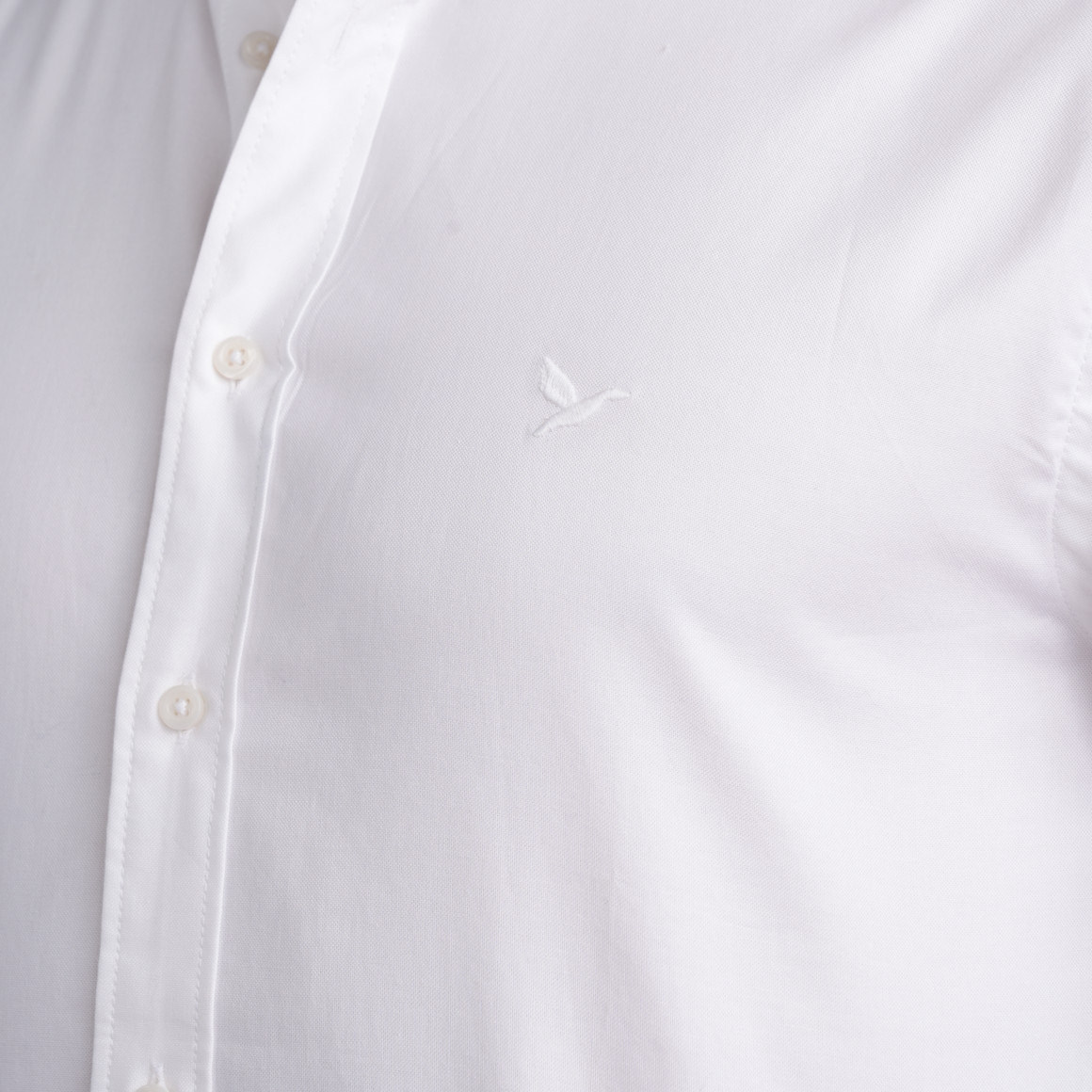 Herren Hemd in Regular Fit