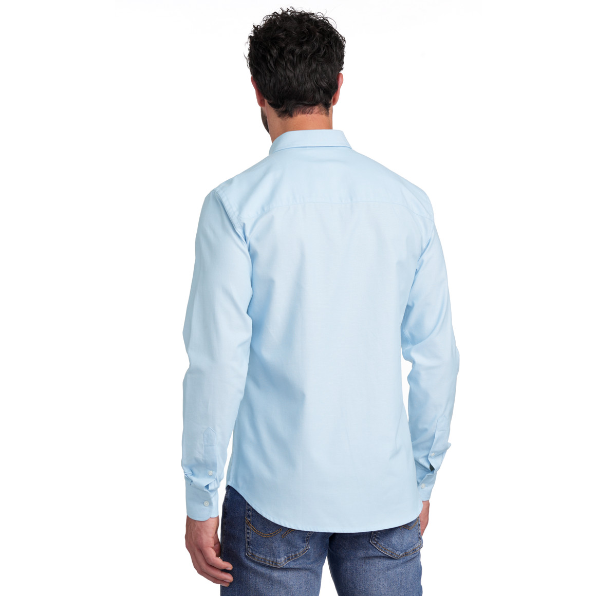 Herren Hemd in Regular Fit