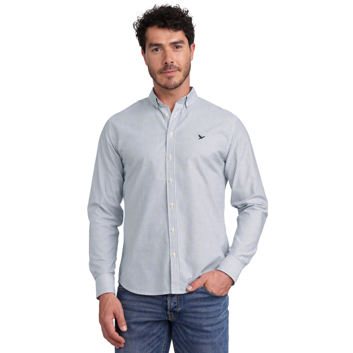 Herren Hemd in Regular Fit