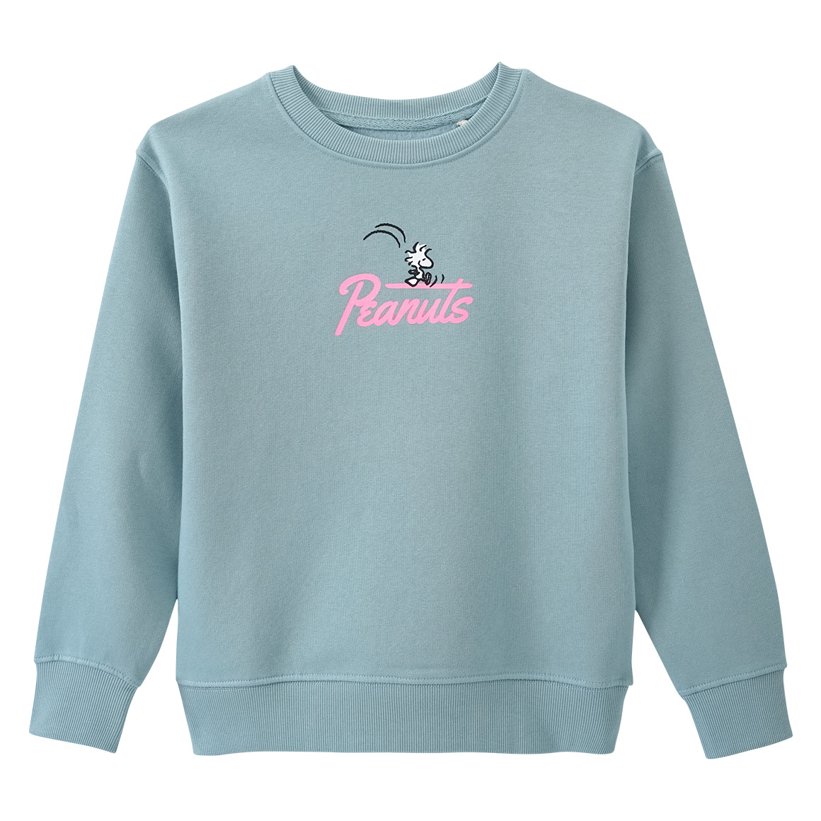 Peanuts Sweatshirt mit Rückenprint