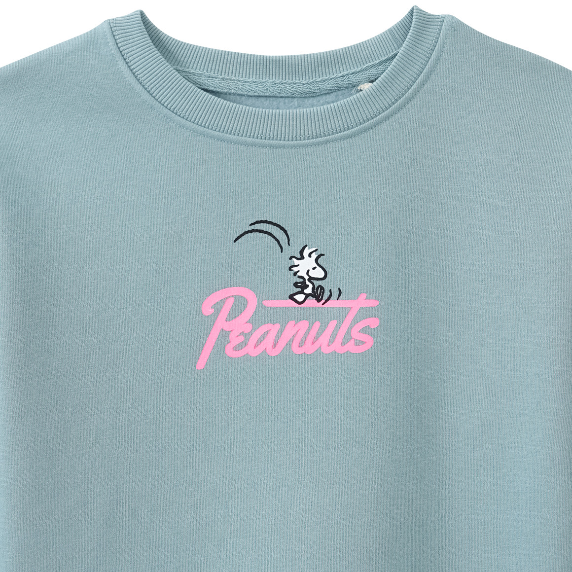 Peanuts Sweatshirt mit Rückenprint