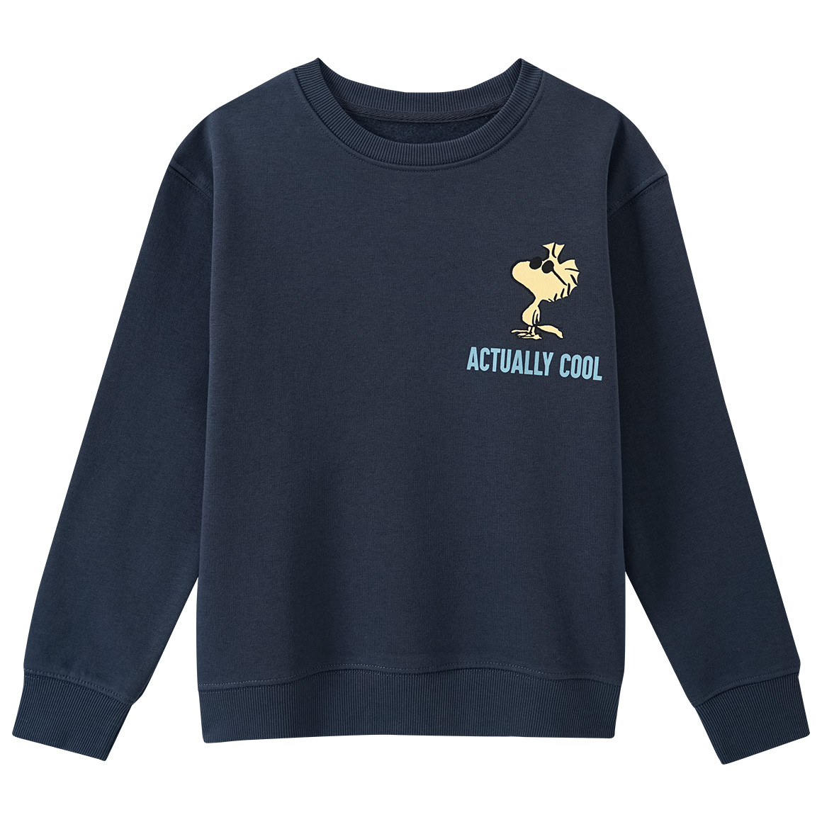 Peanuts Sweatshirt mit Rückenprint