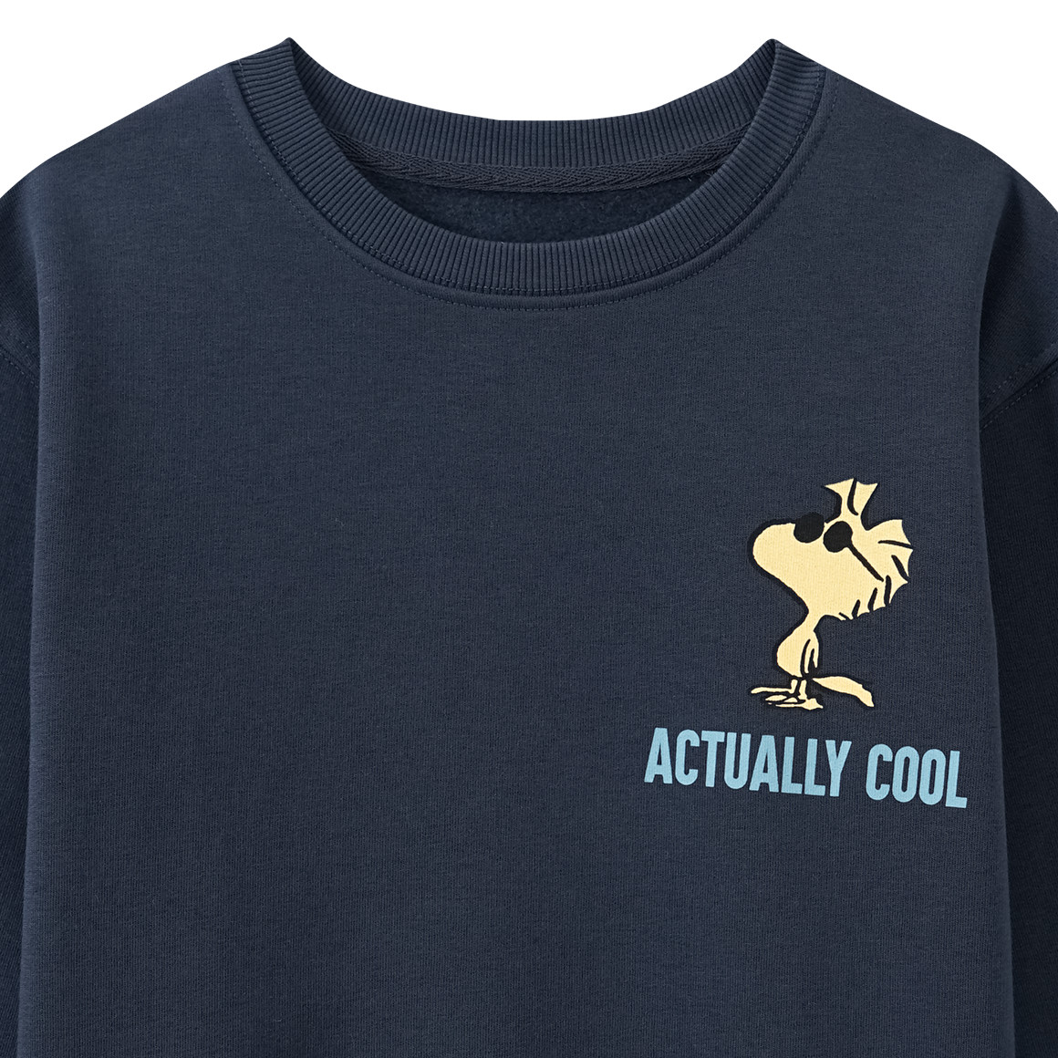 Peanuts Sweatshirt mit Rückenprint