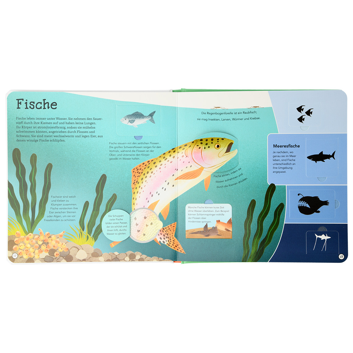 Klappenbuch Faszinierende Tierwelt
