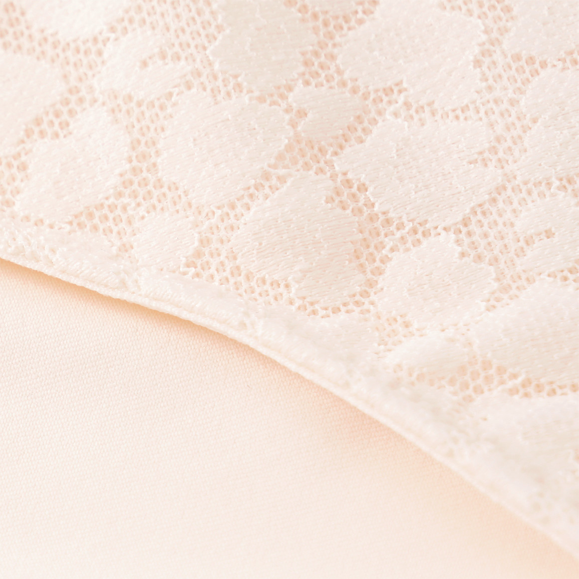 Damen Slip mit Spitze