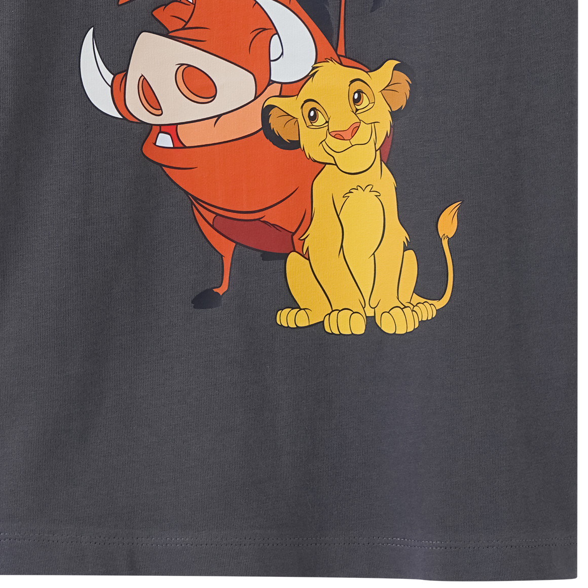 Der König der Löwen T-Shirt mit großem Print