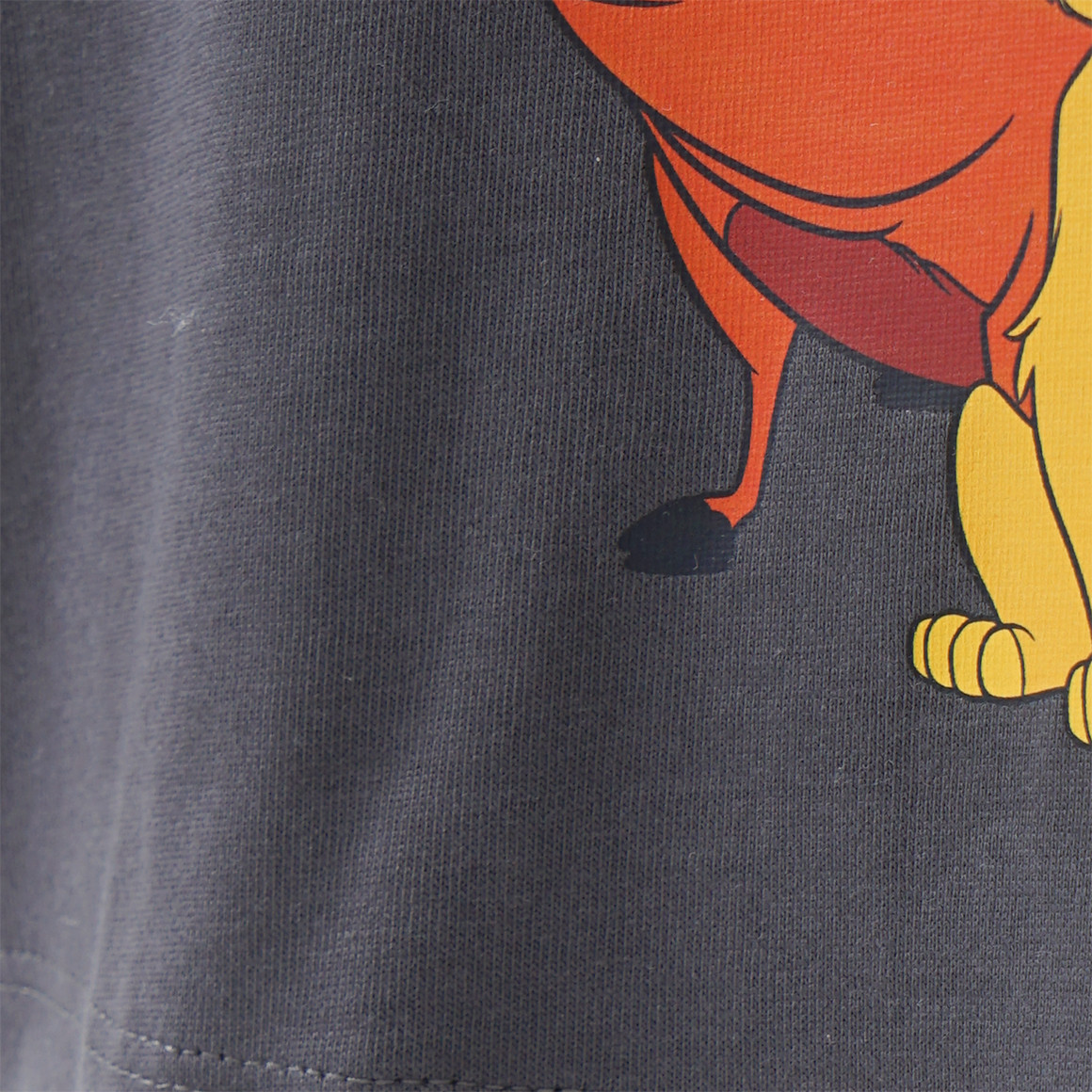 Der König der Löwen T-Shirt mit großem Print