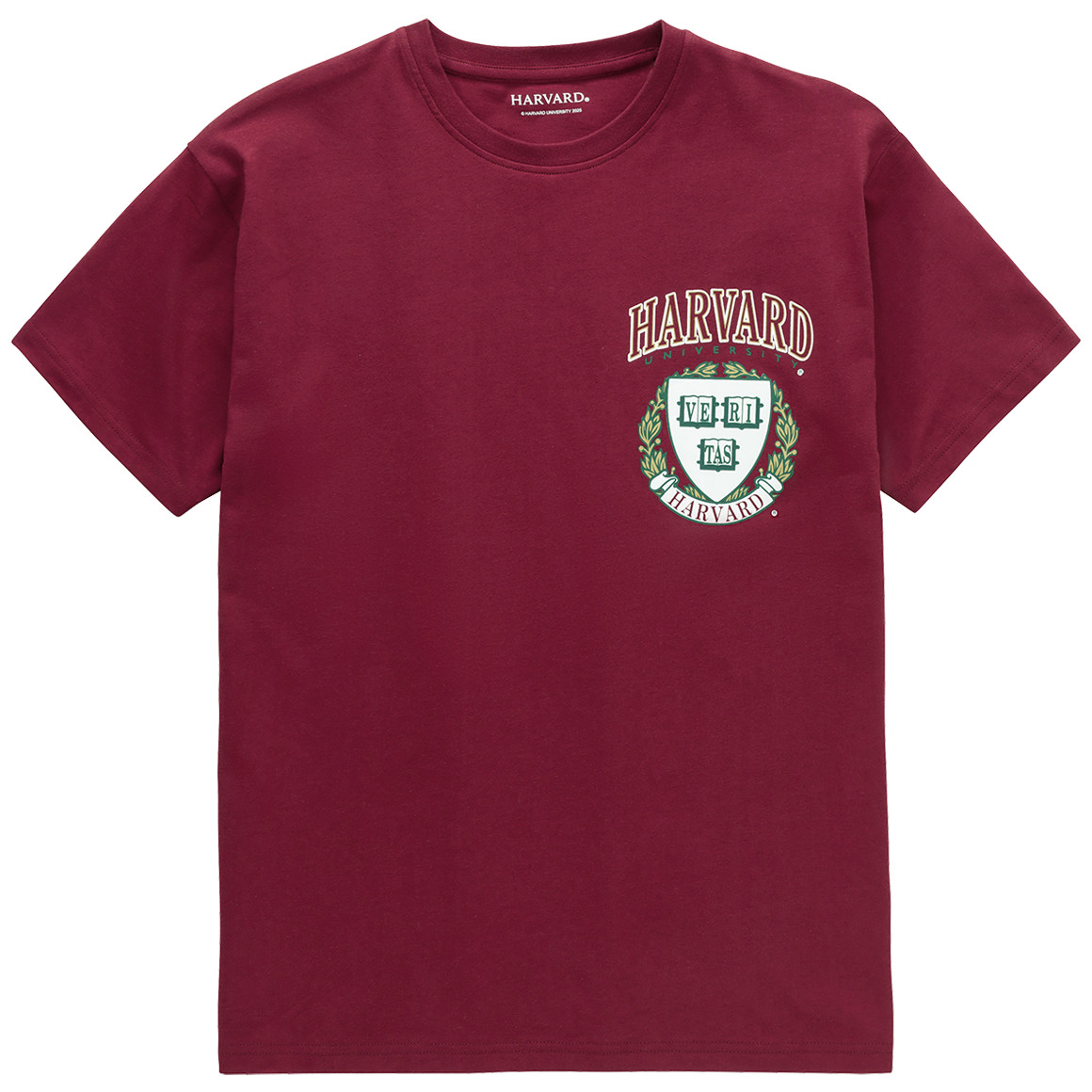 Jongens T-shirt Harvard