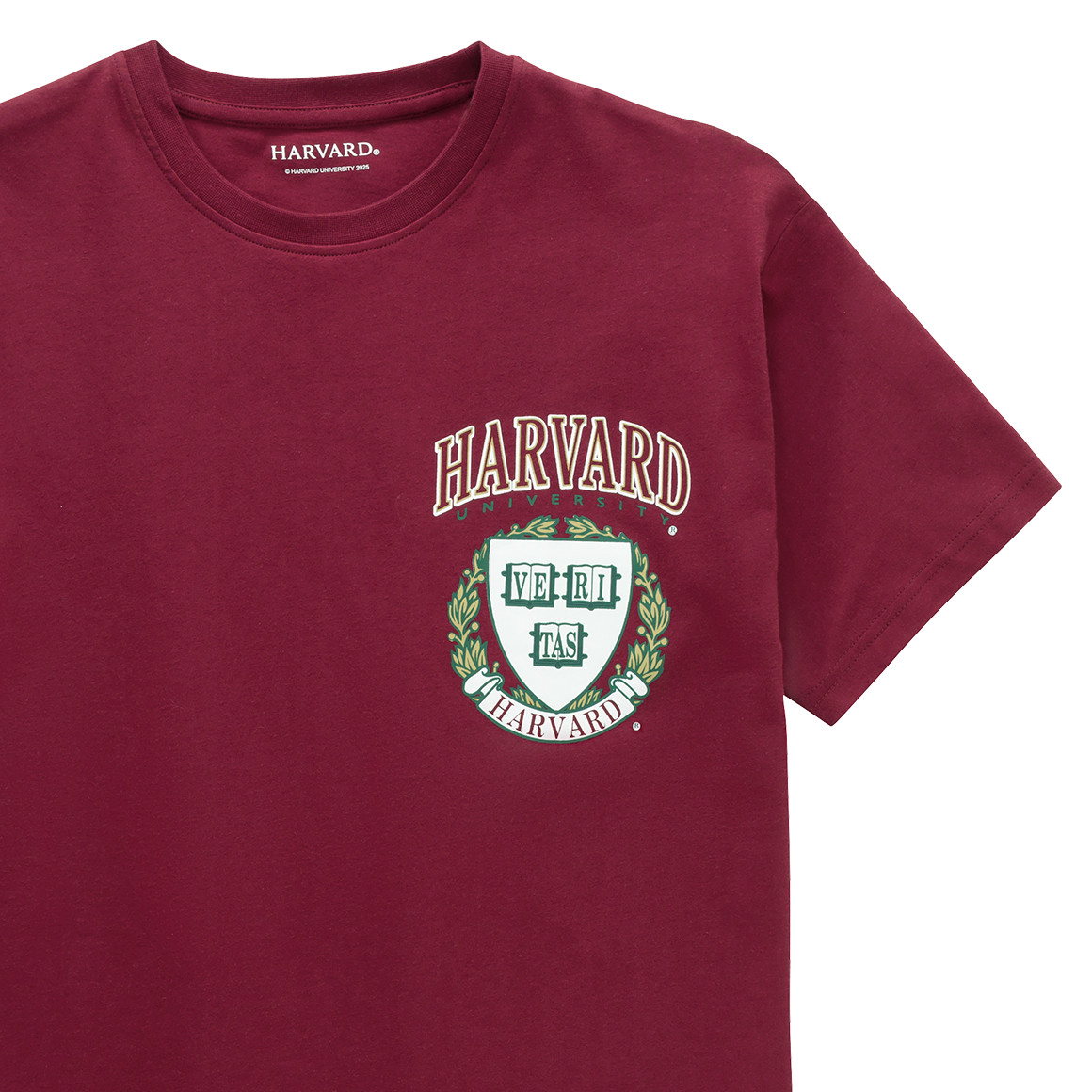 Jongens T-shirt Harvard