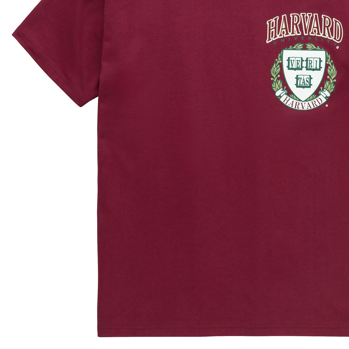 Jongens T-shirt Harvard