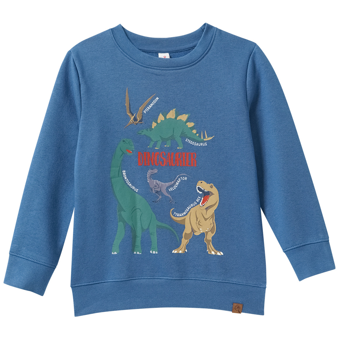 Kinder Sweatshirt mit Dinosaurier-Prints