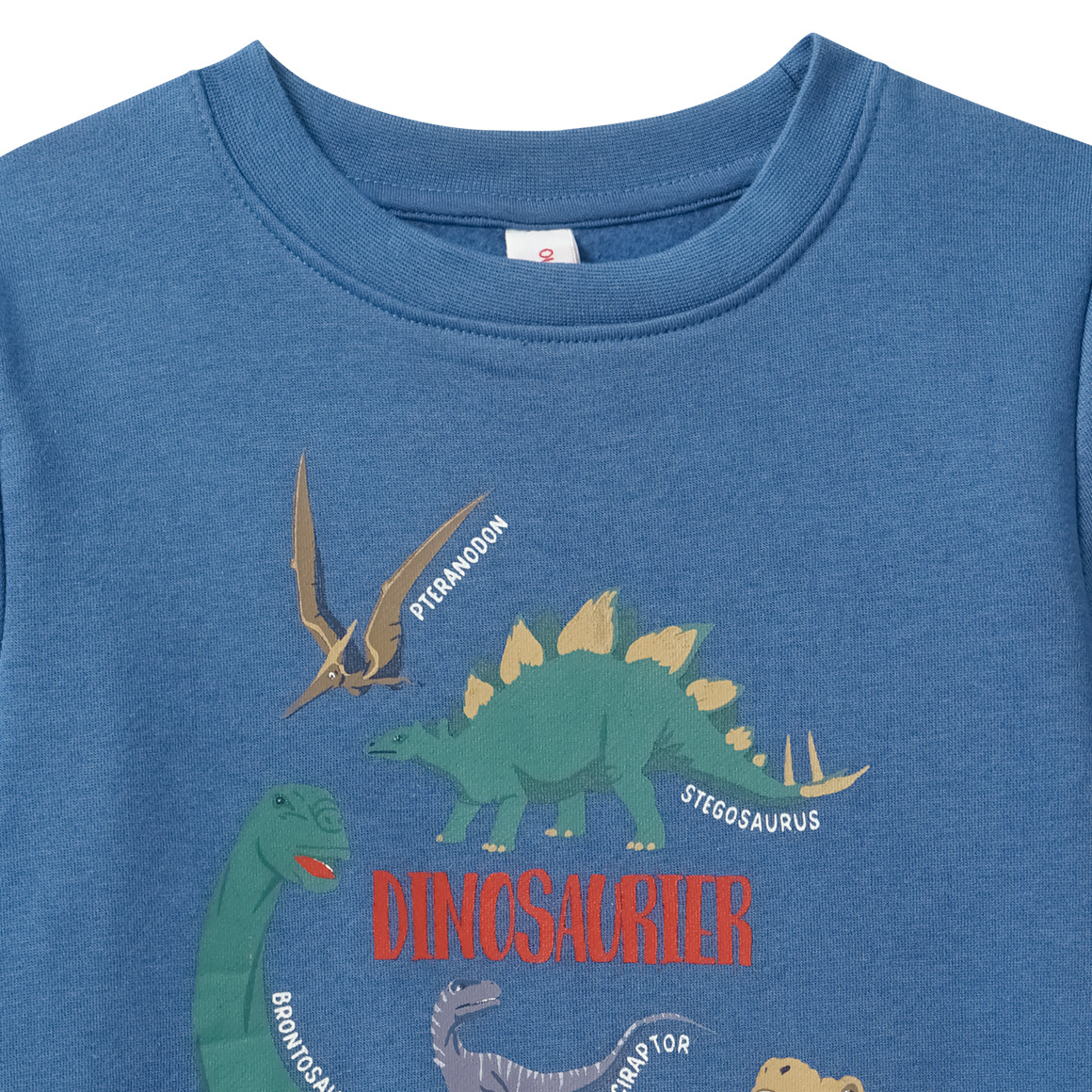 Kinder Sweatshirt mit Dinosaurier-Prints