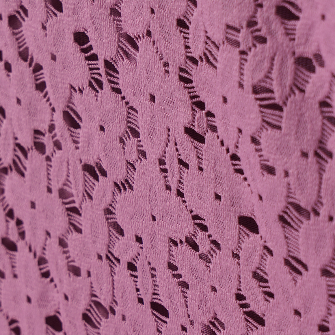 2 damesslips met bloemenkant