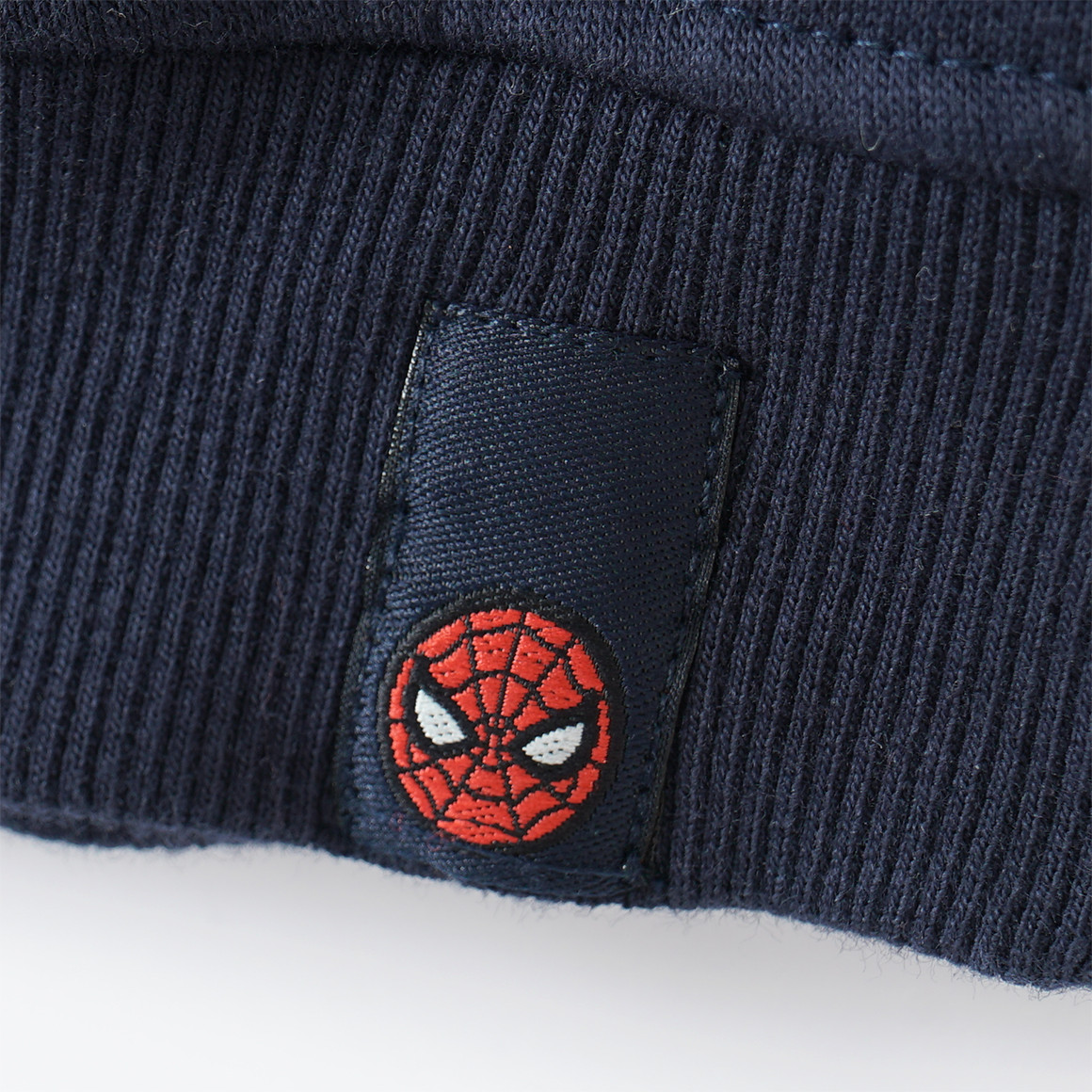 Spider-Man sweatshirt met print
