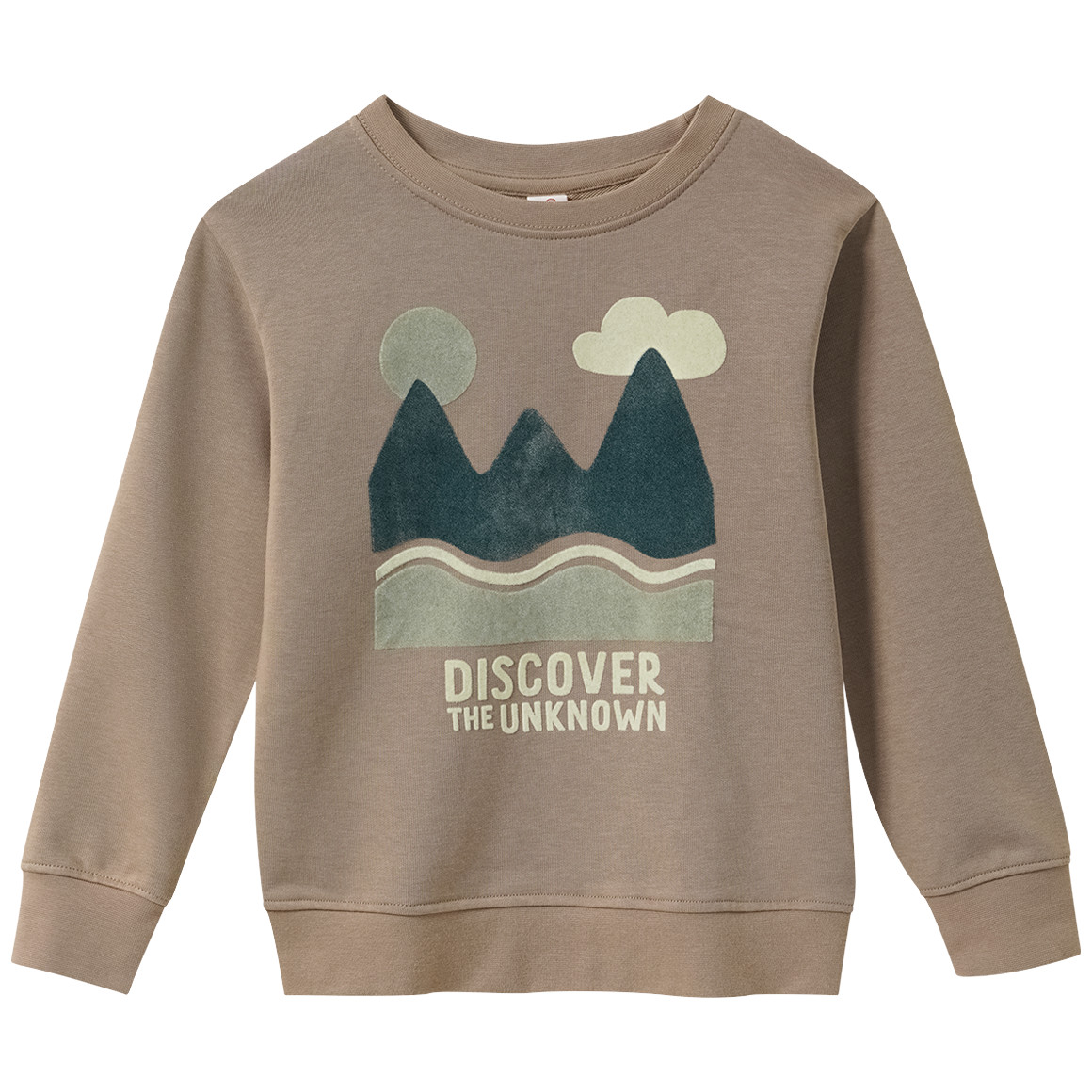 Jungen Sweatshirt mit Flock-Print