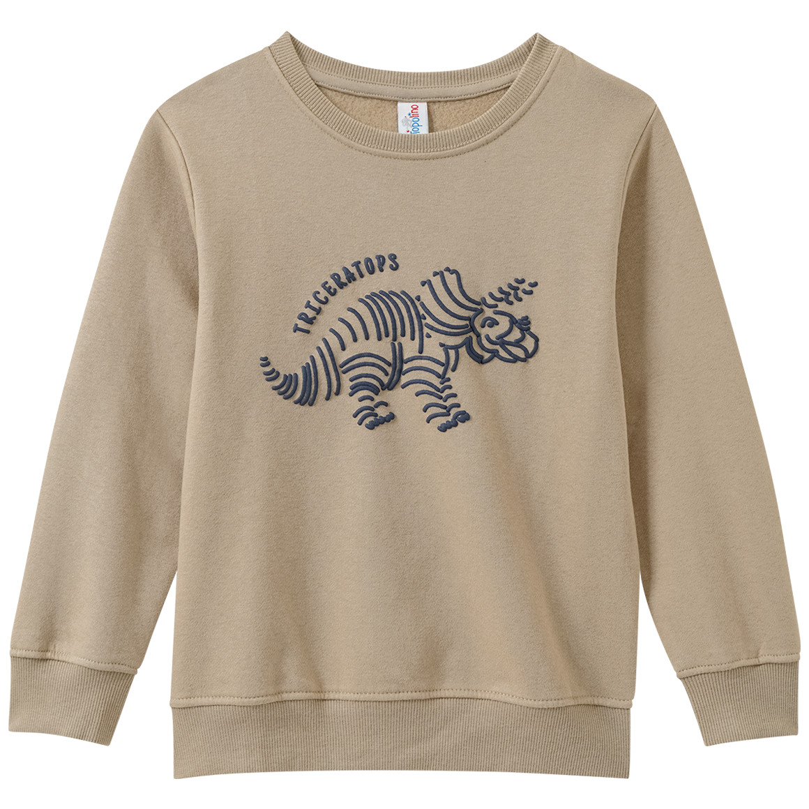 Jungen Sweatshirt mit Dino-Motiv