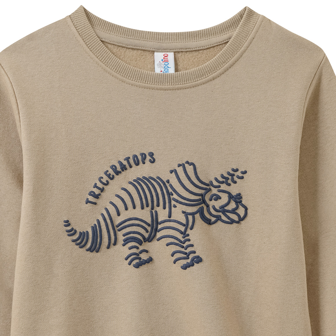 Jungen Sweatshirt mit Dino-Motiv
